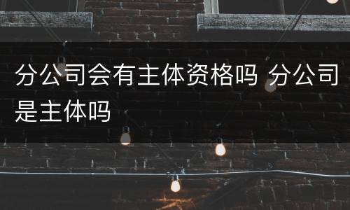分公司会有主体资格吗 分公司是主体吗