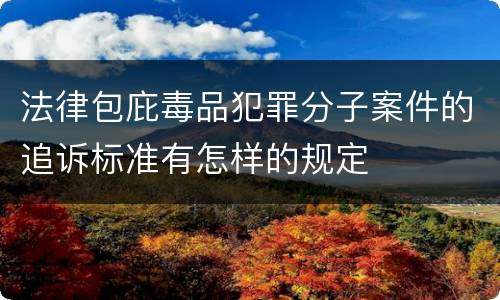 法律包庇毒品犯罪分子案件的追诉标准有怎样的规定
