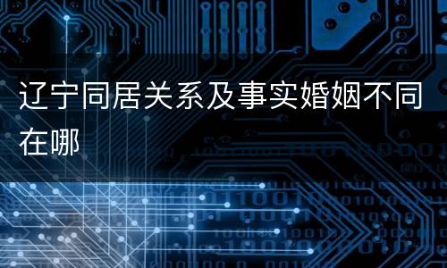 辽宁同居关系及事实婚姻不同在哪