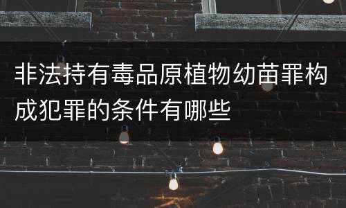 非法持有毒品原植物幼苗罪构成犯罪的条件有哪些