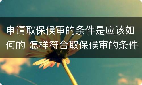 申请取保候审的条件是应该如何的 怎样符合取保候审的条件