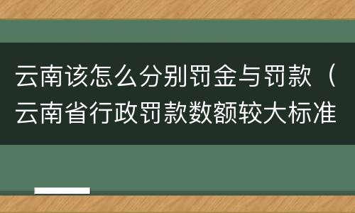 云南该怎么分别罚金与罚款（云南省行政罚款数额较大标准）