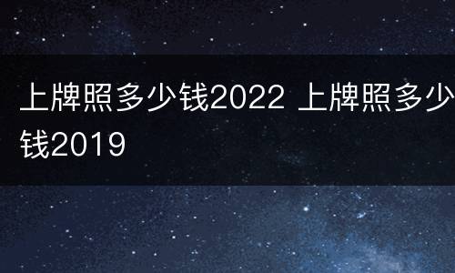 上牌照多少钱2022 上牌照多少钱2019
