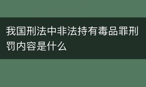 我国刑法中非法持有毒品罪刑罚内容是什么