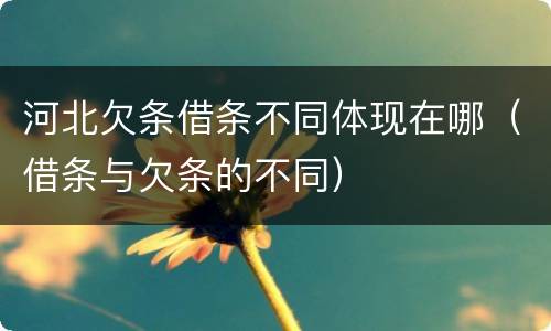 河北欠条借条不同体现在哪（借条与欠条的不同）