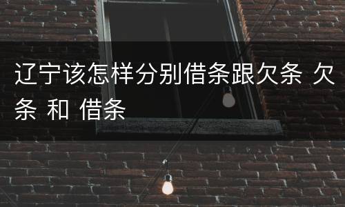 辽宁该怎样分别借条跟欠条 欠条 和 借条