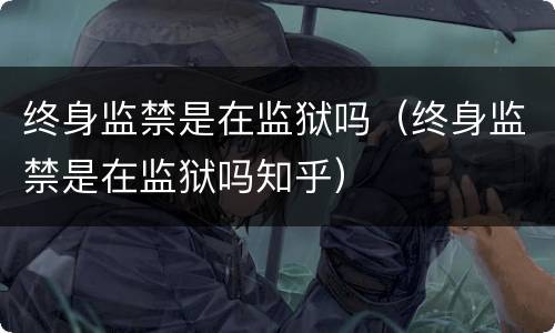终身监禁是在监狱吗（终身监禁是在监狱吗知乎）