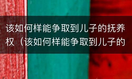 该如何样能争取到儿子的抚养权（该如何样能争取到儿子的抚养权和抚养权）
