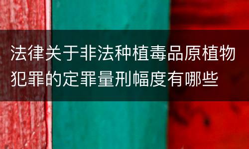 法律关于非法种植毒品原植物犯罪的定罪量刑幅度有哪些