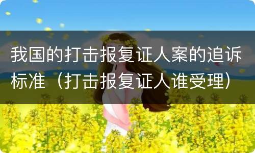 我国的打击报复证人案的追诉标准（打击报复证人谁受理）