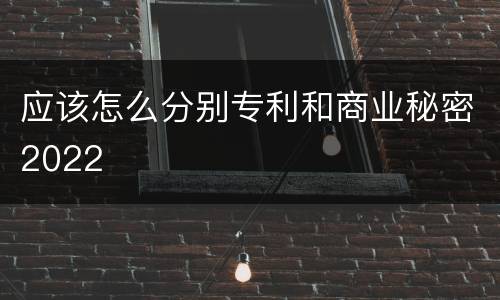 应该怎么分别专利和商业秘密2022