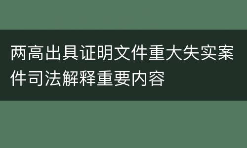 两高出具证明文件重大失实案件司法解释重要内容