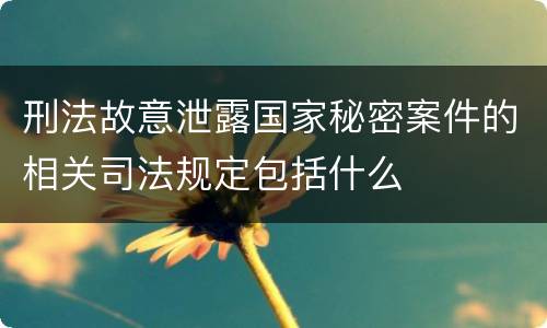 刑法故意泄露国家秘密案件的相关司法规定包括什么