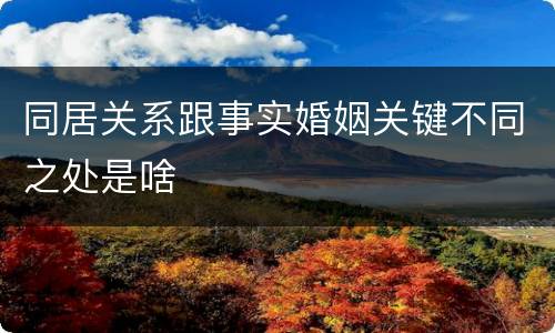 同居关系跟事实婚姻关键不同之处是啥
