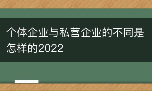 个体企业与私营企业的不同是怎样的2022