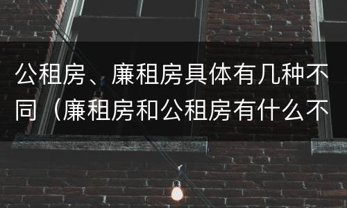 公租房、廉租房具体有几种不同（廉租房和公租房有什么不同）