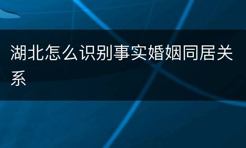 湖北怎么识别事实婚姻同居关系