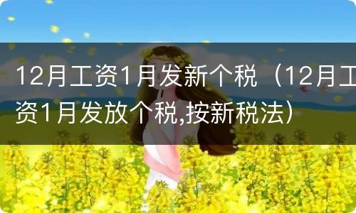 12月工资1月发新个税（12月工资1月发放个税,按新税法）