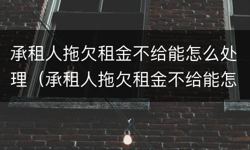 承租人拖欠租金不给能怎么处理（承租人拖欠租金不给能怎么处理呢）
