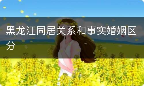 黑龙江同居关系和事实婚姻区分