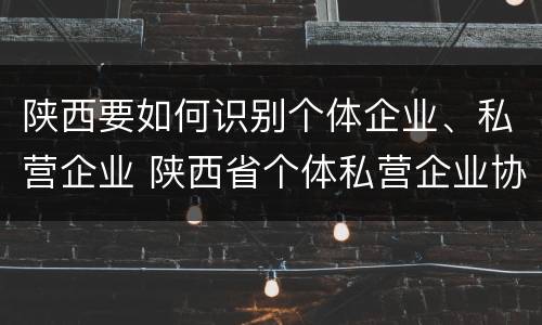 陕西要如何识别个体企业、私营企业 陕西省个体私营企业协会