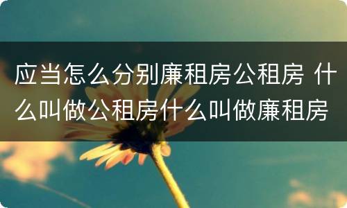 应当怎么分别廉租房公租房 什么叫做公租房什么叫做廉租房