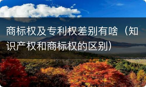 商标权及专利权差别有啥（知识产权和商标权的区别）