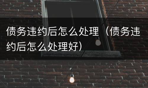 债务违约后怎么处理（债务违约后怎么处理好）