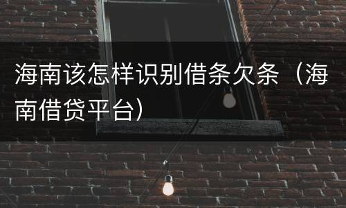 海南该怎样识别借条欠条（海南借贷平台）