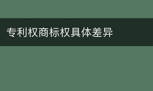 专利权商标权具体差异