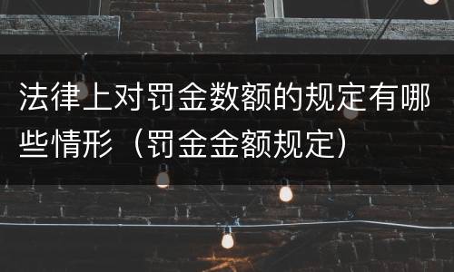 法律上对罚金数额的规定有哪些情形（罚金金额规定）