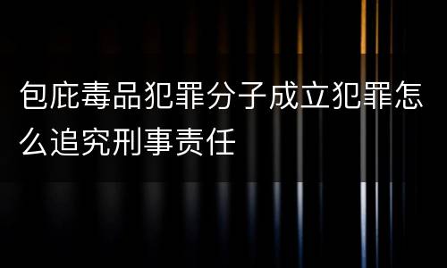 包庇毒品犯罪分子成立犯罪怎么追究刑事责任
