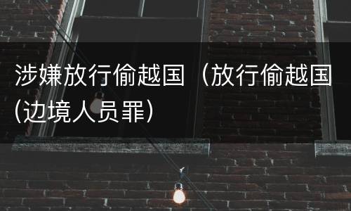 涉嫌放行偷越国（放行偷越国(边境人员罪）