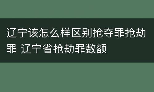 辽宁该怎么样区别抢夺罪抢劫罪 辽宁省抢劫罪数额