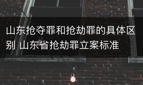 山东抢夺罪和抢劫罪的具体区别 山东省抢劫罪立案标准