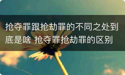 抢夺罪跟抢劫罪的不同之处到底是啥 抢夺罪抢劫罪的区别