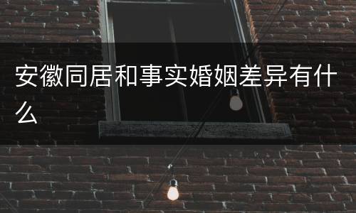 安徽同居和事实婚姻差异有什么