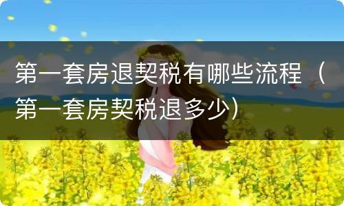 第一套房退契税有哪些流程（第一套房契税退多少）