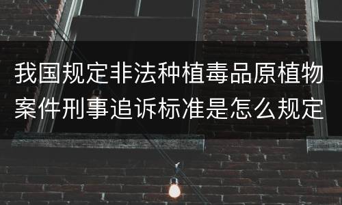 我国规定非法种植毒品原植物案件刑事追诉标准是怎么规定