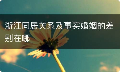 浙江同居关系及事实婚姻的差别在哪