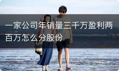 一家公司年销量三千万盈利两百万怎么分股份