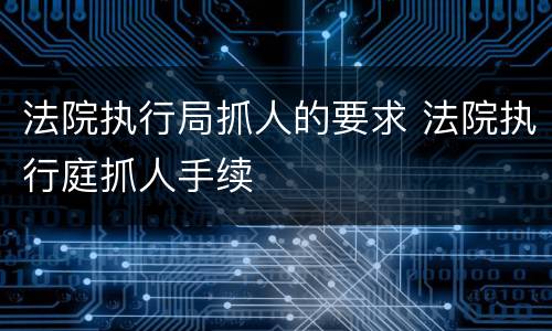 法院执行局抓人的要求 法院执行庭抓人手续