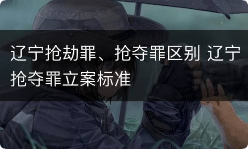 辽宁抢劫罪、抢夺罪区别 辽宁抢夺罪立案标准
