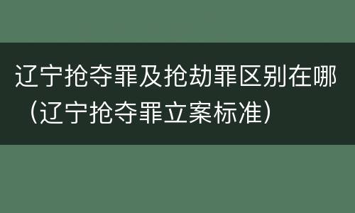 辽宁抢夺罪及抢劫罪区别在哪（辽宁抢夺罪立案标准）