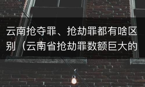 云南抢夺罪、抢劫罪都有啥区别（云南省抢劫罪数额巨大的标准）