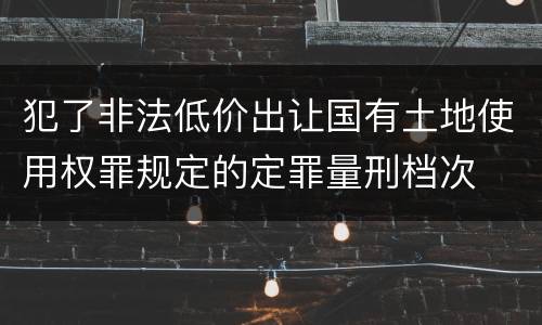 犯了非法低价出让国有土地使用权罪规定的定罪量刑档次