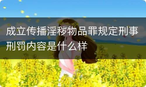 成立传播淫秽物品罪规定刑事刑罚内容是什么样