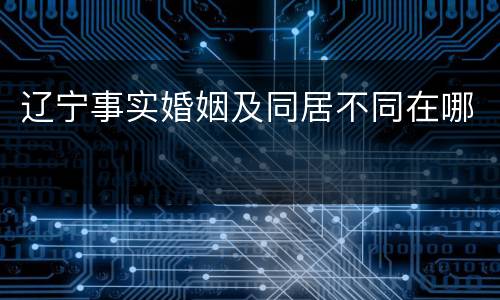 辽宁事实婚姻及同居不同在哪