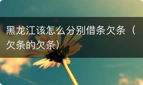 黑龙江该怎么分别借条欠条（欠条的欠条）