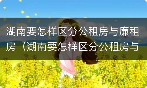 湖南要怎样区分公租房与廉租房（湖南要怎样区分公租房与廉租房呢）